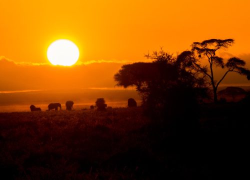 21-day overland camping safari through Kenya, Tanzania, and Uganda