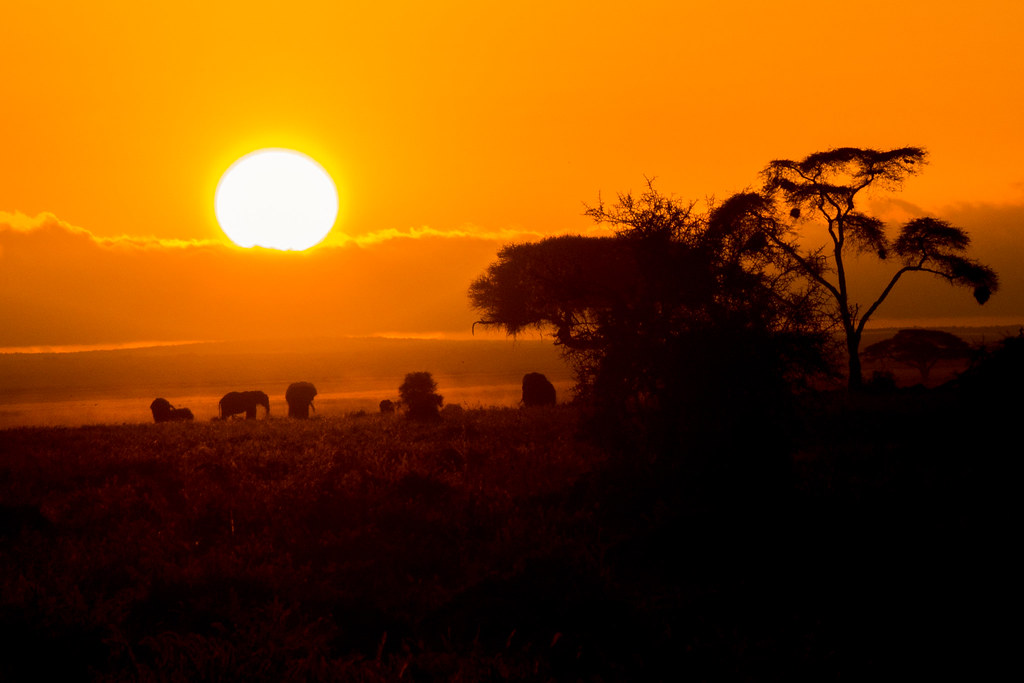 21-day overland camping safari through Kenya, Tanzania, and Uganda