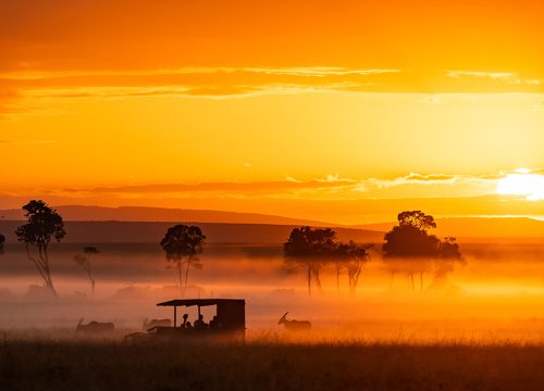 5 days of exciting safaris in Kenya